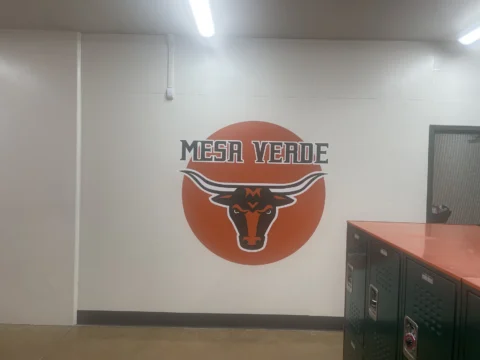 Mesa Verde bull logo and dimensional lettering on an athletic facility wall