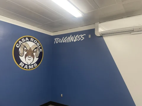 Mesa Ridge Rams logo on a blue athletic facility wall