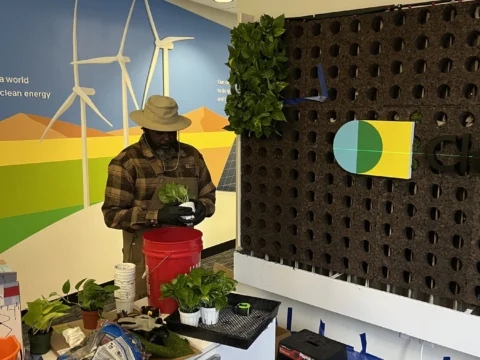 Installation team working on a branded living wall display