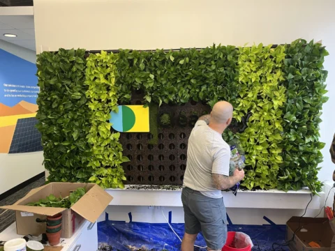 Installer adding greenery around a Clearway living wall logo