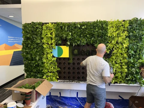Clearway logo taking shape during a living wall installation