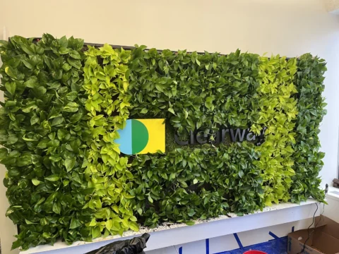 Completed Clearway dimensional logo on a lush green living wall